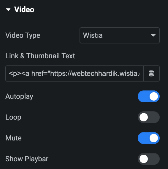 Video Box: Wistia Video Type Settings