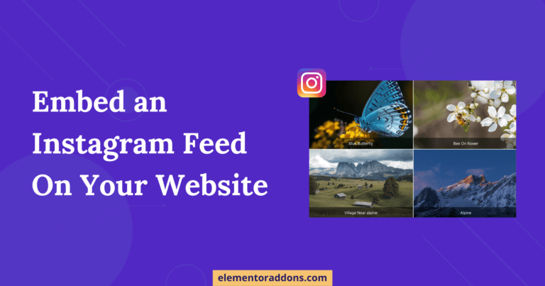 Embed Insta Feed