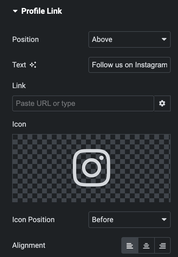 Instagram Feed: Profile Link Settings