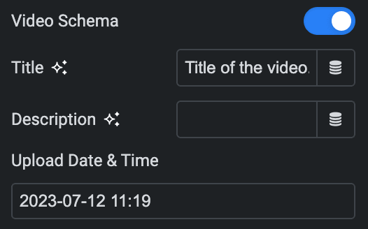 Video Gallery: Video Schema Settings