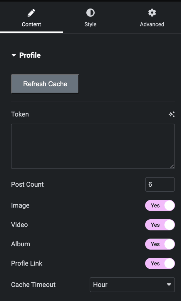 Instagram Feed: Profile Content Settings