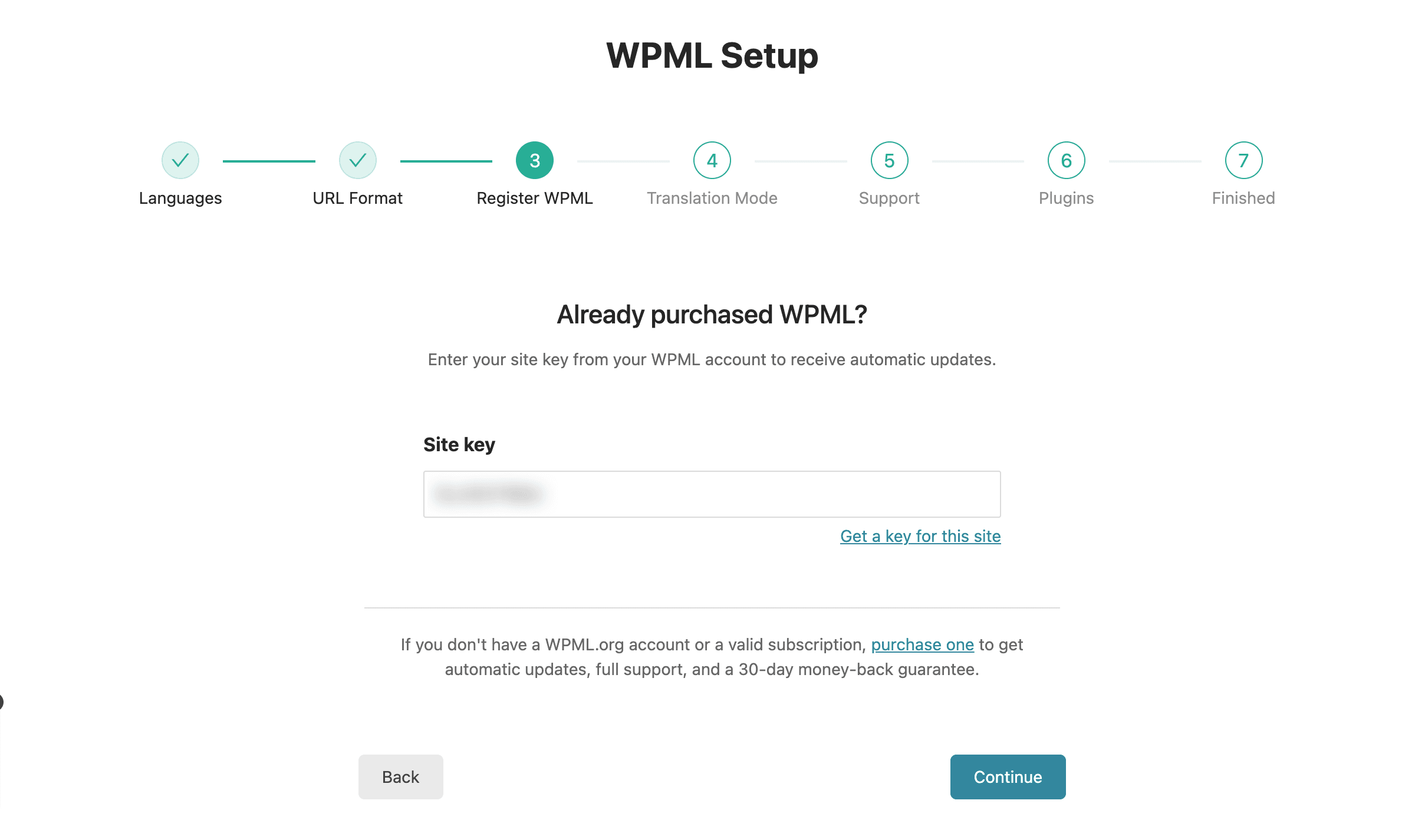 WPML Setup: Register WPML Settings