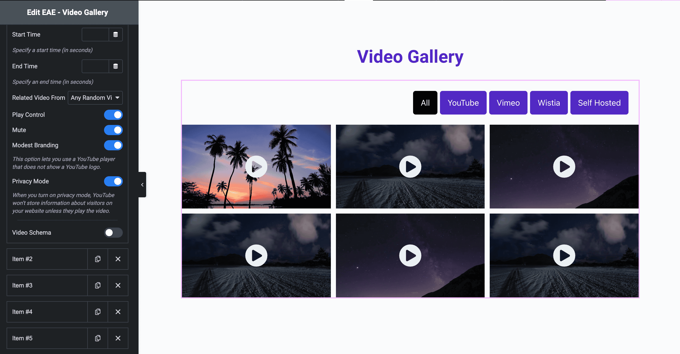 Video Gallery: Custom List Settings